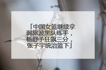 中国女篮继续拿弱旅波黑队练手，杨舒予狂飙三分，张子宇统治篮下