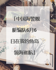 中国海警舰艇编队6月6日在我钓鱼岛领海巡航