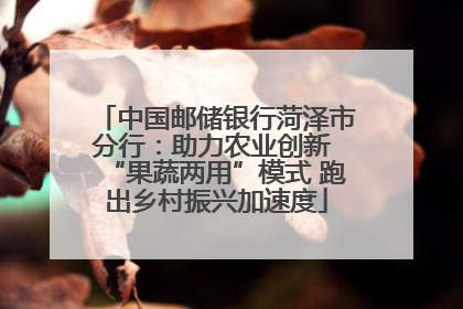 中国邮储银行菏泽市分行：助力农业创新 “果蔬两用”模式 跑出乡村振兴加速度