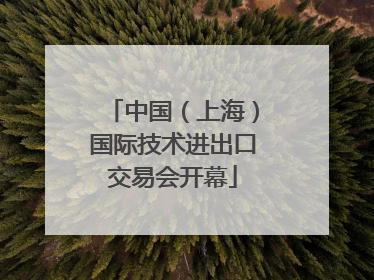 中国（上海）国际技术进出口交易会开幕
