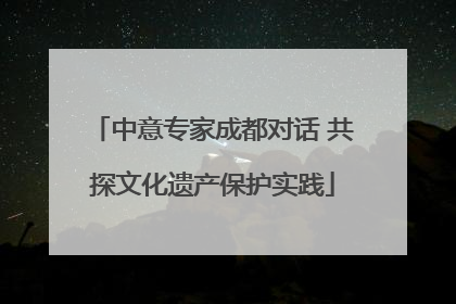 中意专家成都对话 共探文化遗产保护实践