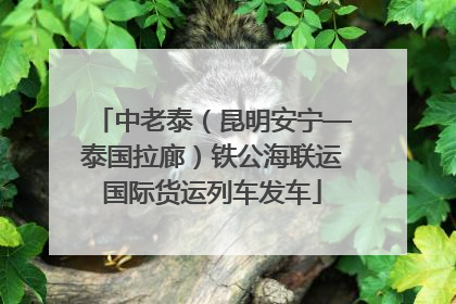 中老泰（昆明安宁—泰国拉廊）铁公海联运国际货运列车发车