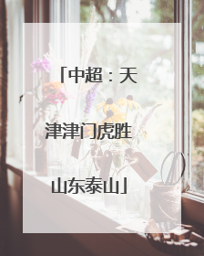 中超：天津津门虎胜山东泰山