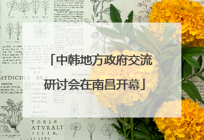中韩地方政府交流研讨会在南昌开幕