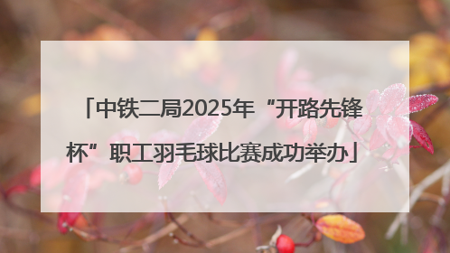 中铁二局2025年“开路先锋杯”职工羽毛球比赛成功举办