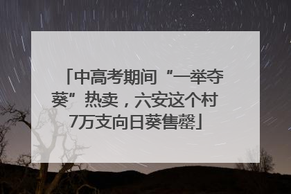 中高考期间“一举夺葵”热卖，六安这个村7万支向日葵售罄