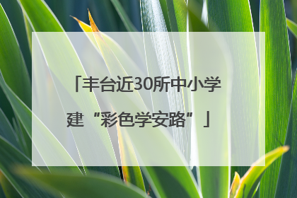 丰台近30所中小学建“彩色学安路”