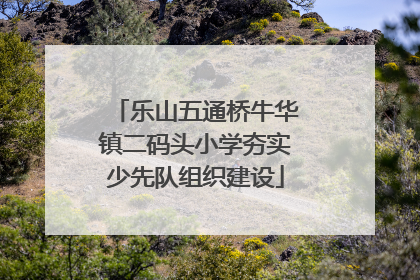 乐山五通桥牛华镇二码头小学夯实少先队组织建设