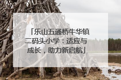 乐山五通桥牛华镇二码头小学：适应与成长，助力新启航