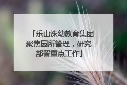 乐山洙幼教育集团聚焦园所管理，研究部署重点工作