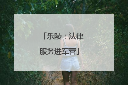 乐陵：法律服务进军营