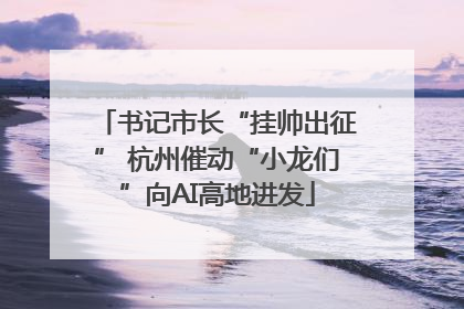 书记市长“挂帅出征” 杭州催动“小龙们”向AI高地进发
