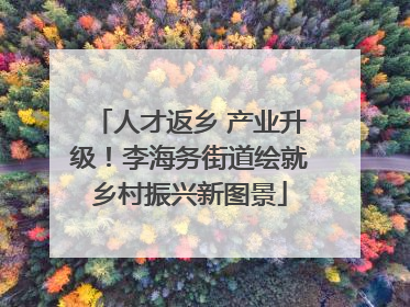 人才返乡 产业升级！李海务街道绘就乡村振兴新图景
