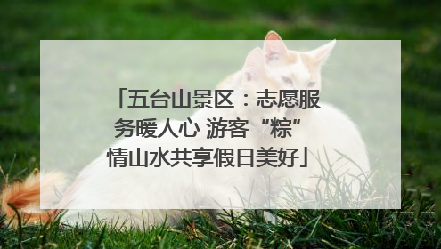 五台山景区：志愿服务暖人心 游客“粽”情山水共享假日美好