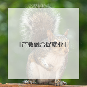 产教融合促就业