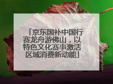 京东国补中国行赛龙舟游佛山，以特色文化赛事激活区域消费新动能