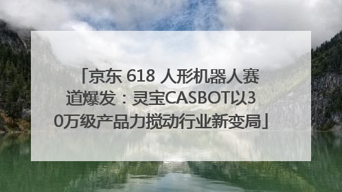 京东 618 人形机器人赛道爆发：灵宝CASBOT以30万级产品力搅动行业新变局