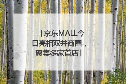京东MALL今日亮相双井商圈，聚集多家首店