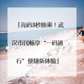 亮码3秒换乘！武汉市民畅享“一码通行”便捷新体验