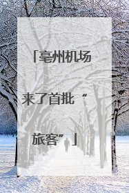 亳州机场来了首批“旅客”