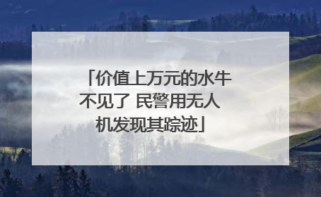 价值上万元的水牛不见了 民警用无人机发现其踪迹
