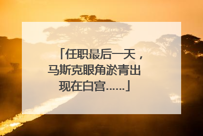 任职最后一天，马斯克眼角淤青出现在白宫……