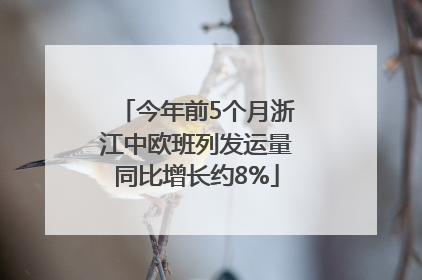今年前5个月浙江中欧班列发运量同比增长约8%