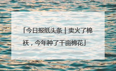 今日报纸头条｜卖火了棉袄，今年种了千亩棉花