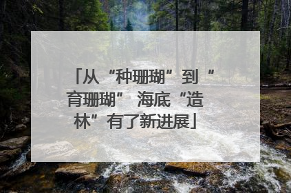 从“种珊瑚”到“育珊瑚” 海底“造林”有了新进展