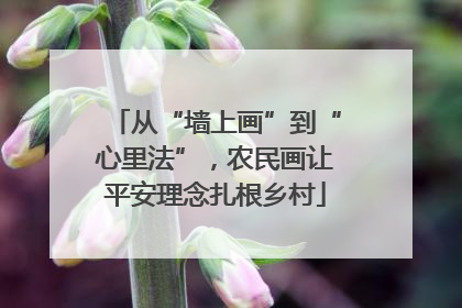 从“墙上画”到“心里法”，农民画让平安理念扎根乡村