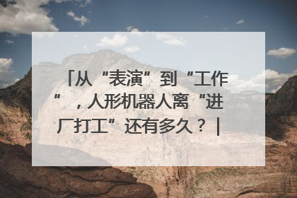 从“表演”到“工作”，人形机器人离“进厂打工”还有多久？｜机器人商业新纪元