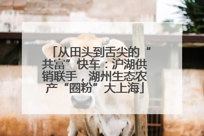 从田头到舌尖的“共富”快车：沪湖供销联手，湖州生态农产“圈粉”大上海