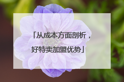 从成本方面剖析，好特卖加盟优势