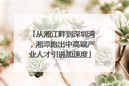 从湘江畔到深圳湾，湘潭跑出中高端产业人才引进加速度
