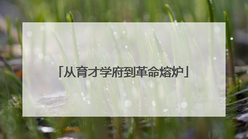 从育才学府到革命熔炉