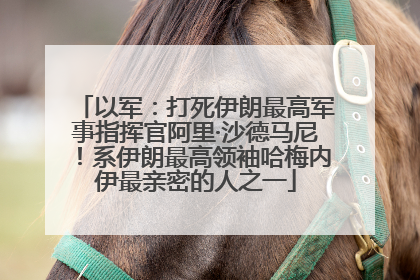 以军：打死伊朗最高军事指挥官阿里·沙德马尼！系伊朗最高领袖哈梅内伊最亲密的人之一