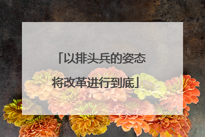 以排头兵的姿态将改革进行到底