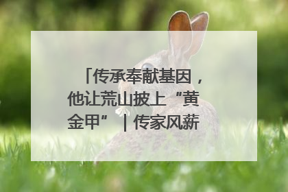 传承奉献基因，他让荒山披上“黄金甲”｜传家风薪火 颂家国情深