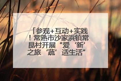 参观+互动+实践！常熟市沙家浜镇常昆村开展“爱‘新’之旅‘蔬’适生活”参观学习活动