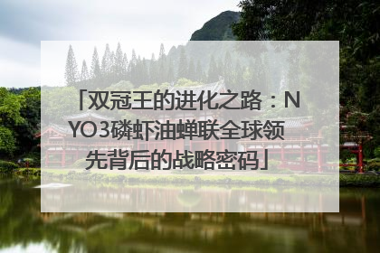 双冠王的进化之路：NYO3磷虾油蝉联全球领先背后的战略密码
