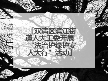 双清区滨江街道人大工委开展“法治护绿护安人大行”活动