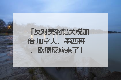 反对美钢铝关税加倍 加拿大、墨西哥、欧盟反应来了