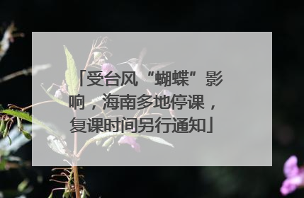 受台风“蝴蝶”影响，海南多地停课，复课时间另行通知