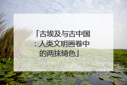 古埃及与古中国：人类文明画卷中的两抹绮色