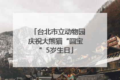 台北市立动物园庆祝大熊猫“圆宝”5岁生日