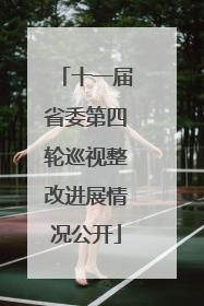 十一届省委第四轮巡视整改进展情况公开