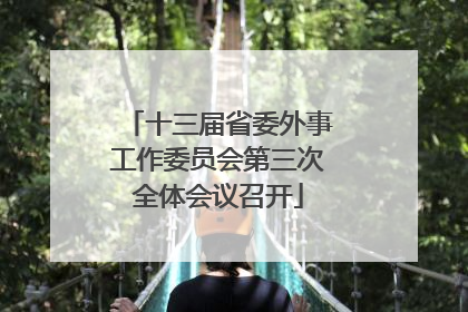 十三届省委外事工作委员会第三次全体会议召开