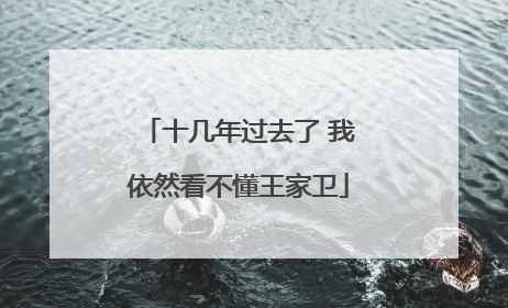 十几年过去了 我依然看不懂王家卫