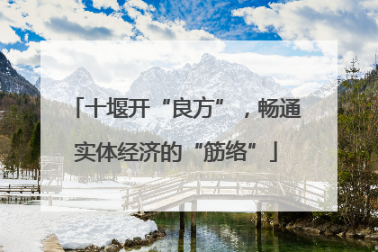 十堰开“良方”，畅通实体经济的“筋络”