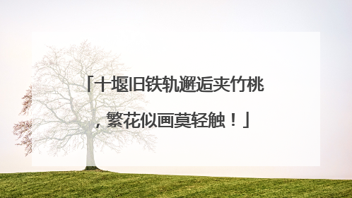 十堰旧铁轨邂逅夹竹桃，繁花似画莫轻触！
